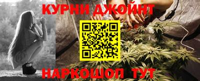 гашик Ливны