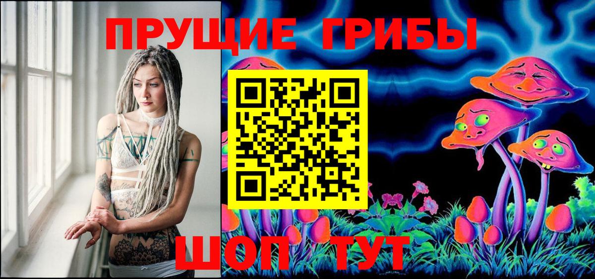 Галлюциногенные грибы Cubensis Городец