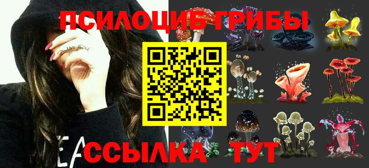 Городец  Псилоцибиновые грибы Psilocybe  Вход с VPN 